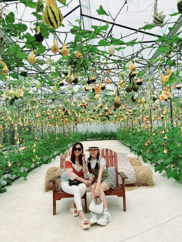 Nâng cao thu nhập cho người dân, góp phần phát huy giá trị văn hóa truyền thống