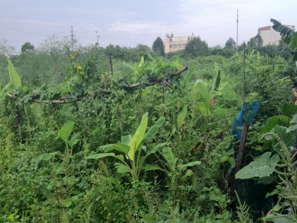 Người dân khốn khổ vì quy hoạch 