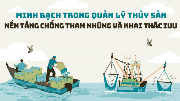 Minh bạch trong quản lý thủy sản: Nền tảng chống tham nhũng và khai thác IUU