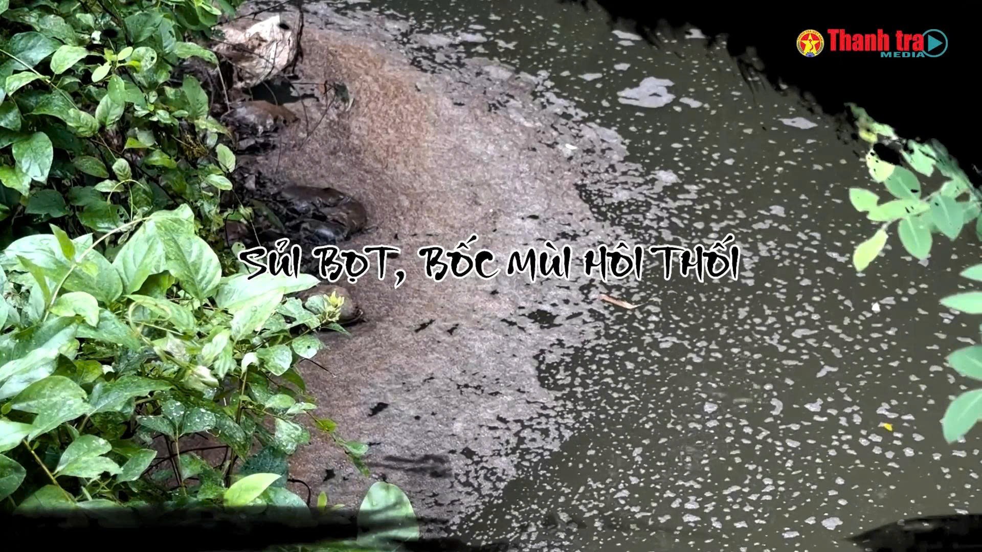 Alo Thanh tra số 44: Xã Bình Minh (Hà Nội): Kênh Hòa Bình ô nhiễm nghiêm trọng, ảnh hưởng đến đời sống của hàng trăm hộ dân