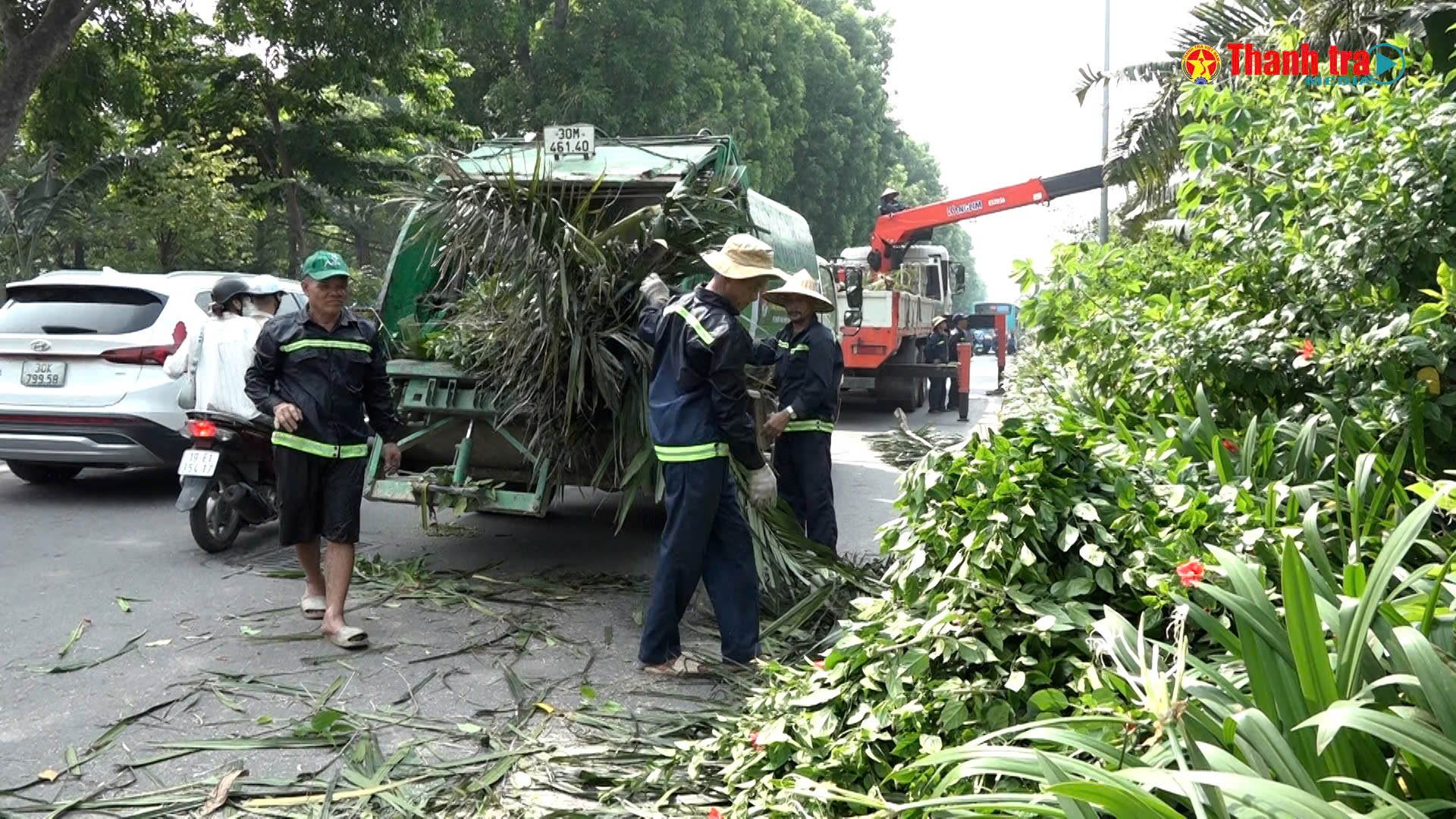 Hà Nội ra quân chỉnh trang cây xanh, đô thị, sẵn sàng cho Đại lễ 80 năm Cách mạng Tháng Tám và Quốc khánh 2/9