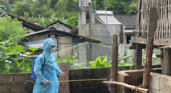 Lạng Sơn: Số lợn mắc bệnh, chết và bị tiêu hủy lên đến hơn 8.000 con