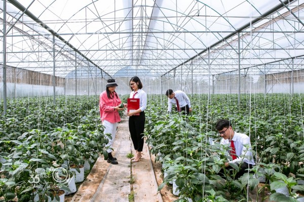 Tín dụng xanh tại Agribank: Dấu ấn tiên phong vì sự phát triển bền vững