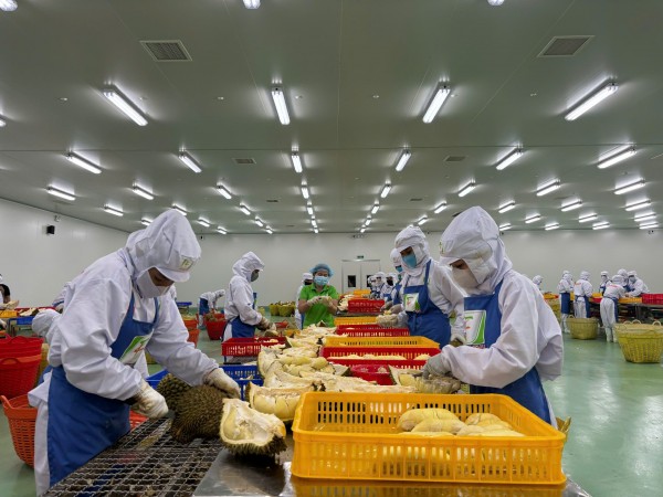 Hơn 1.200 doanh nghiệp ở Đắk Lắk rút lui khỏi thị trường, nhưng vẫn có những tín hiệu tích cực