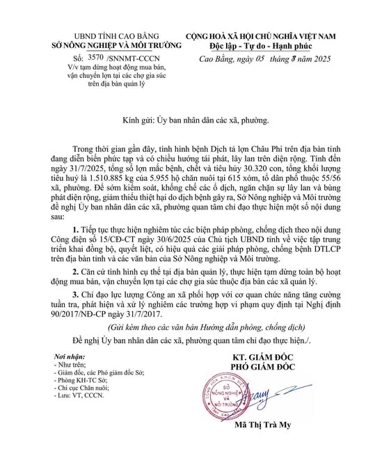 Cao Bằng: Dừng mua bán lợn tại các chợ gia súc để chống dịch tả lợn châu Phi