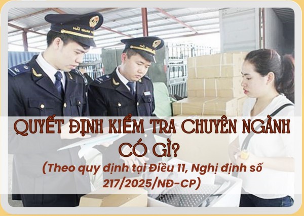 Quyết định kiểm tra chuyên ngành có gì?