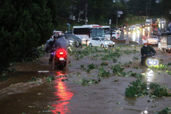 Lâm Đồng: Mưa lớn kéo dài khiến nhiều tuyến đường bị ngập