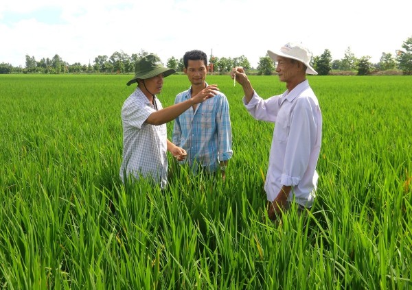 Sở Nông nghiệp và Môi trường TP Cần Thơ đảm bảo công việc cho người lao động sau sáp nhập