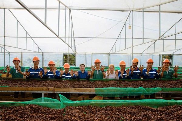 Doanh nghiệp cà phê Đắk Lắk được vinh danh 