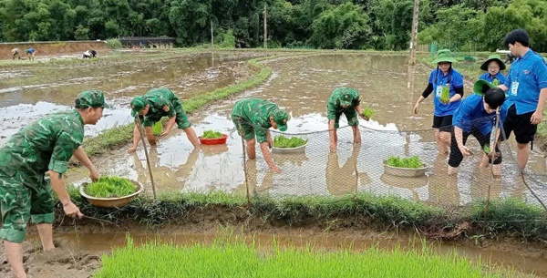 Nghệ An: Điều động cán bộ về cơ sở để tăng cường nhân lực cho xã khó khăn