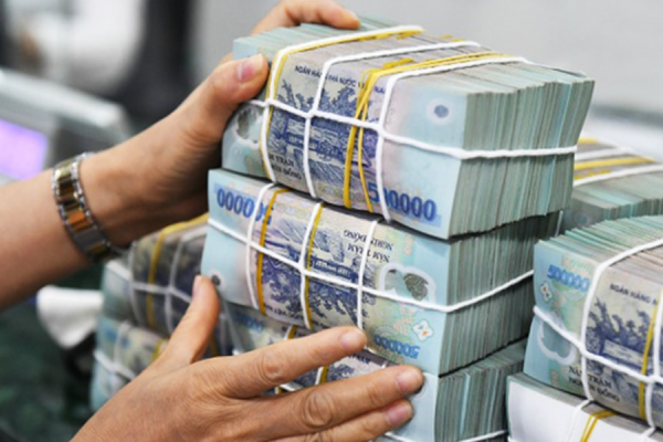 Những DN tư nhân nào nộp ngân sách Nhà nước lớn nhất?