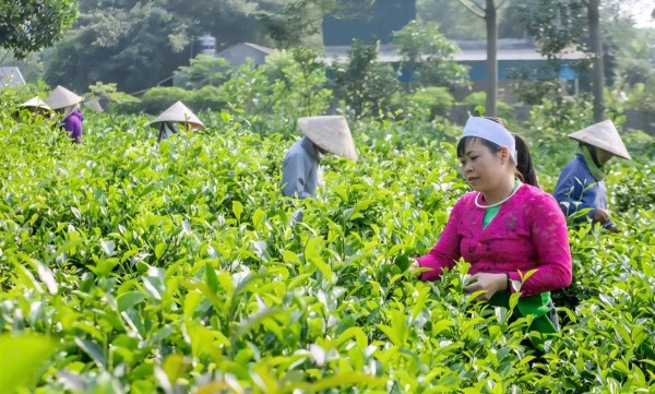 Chương trình mục tiêu quốc gia đặt nền móng cho sự phát triển bền vững vùng dân tộc thiểu số và miền núi