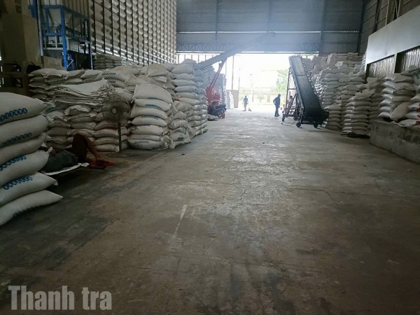 Nhiều “bất cập” hoạt động kinh doanh xuất khẩu gạo của Công ty TNHH Sunrise Ins