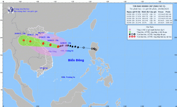 Vùng biển tỉnh Quảng Ngãi hiện có 144 tàu, với 869 lao động hoạt động