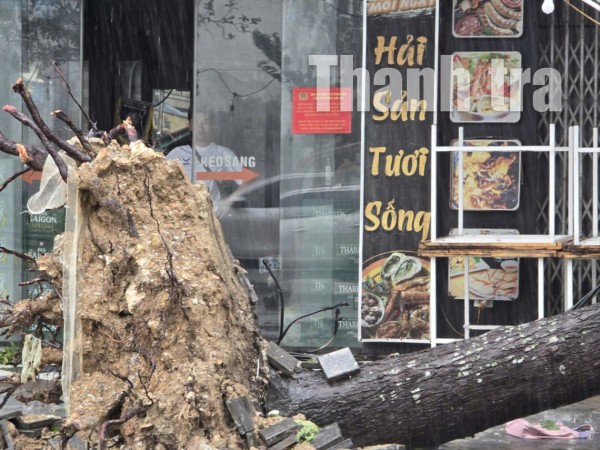 Thanh Hóa khẩn trương chỉ đạo hộ đê, khắc phục sự cố sau bão số 5