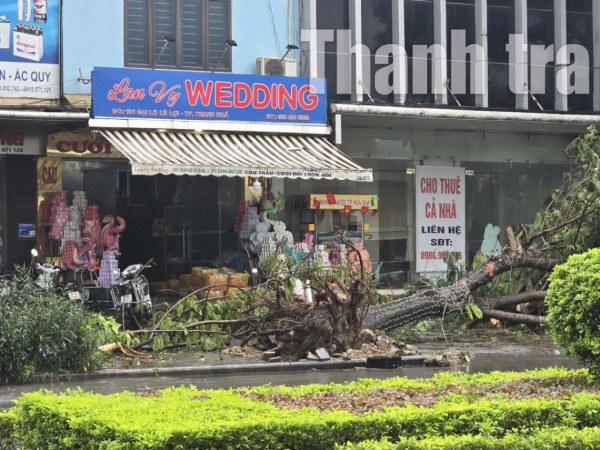 Thanh Hóa oằn mình trong bão số 5: Hàng trăm nghìn hộ dân mất điện, nhiều bản làng bị cô lập