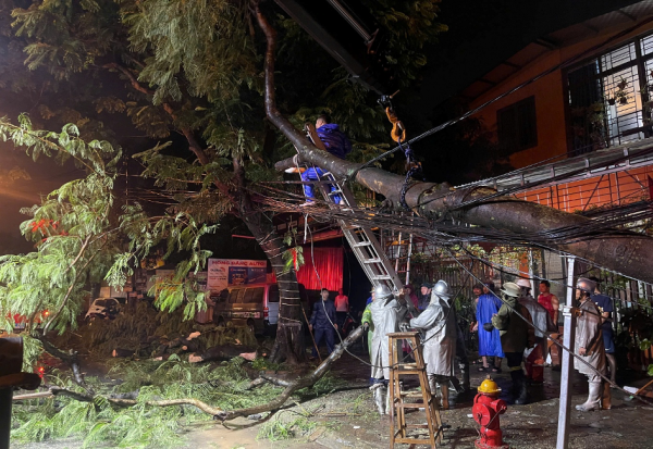 Công an Hà Nội xử lý thần tốc cây lớn đổ chắn ngang đường trong đêm mưa gió