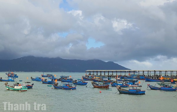 Cà Mau: Tập trung cao điểm chống khai thác IUU, chuẩn bị đón đoàn thanh tra EC lần 5
