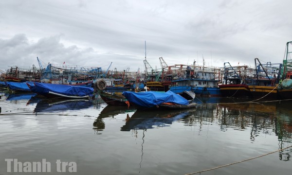 Quảng Trị: Chủ động triển khai ứng phó áp thấp nhiệt đới và mưa lớn