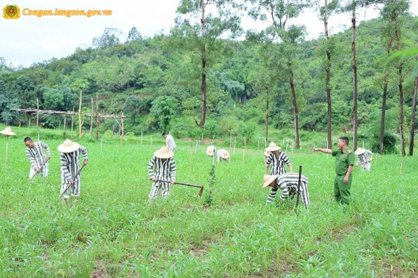 Lạng Sơn: Có 34 phạm nhân được đề nghị đặc xá dịp Quốc khánh 2/9