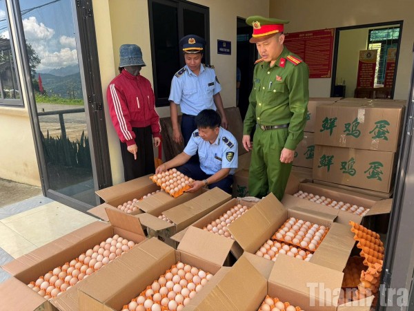 Tuyên Quang: Phát hiện, tiêu hủy hơn 10.000 quả trứng gà nhập lậu