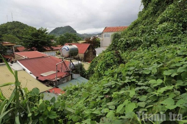 Thanh Hoá: Công bố tình huống khẩn cấp sạt lở đất tại đồi Phòng Không, xã Linh Sơn