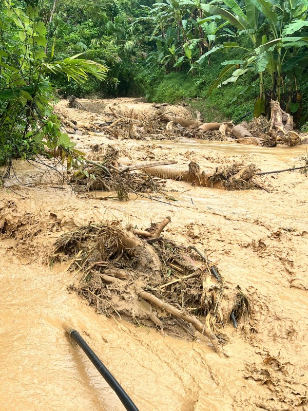 Thanh Hóa: Công bố tình huống khẩn cấp ở xã Sơn Điện