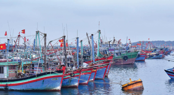 Hải Phòng quyết tâm gỡ “thẻ vàng” IUU