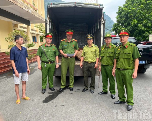 Tuyên Quang: Phát hiện, bắt giữ xe tải chở lâm sản trái phép