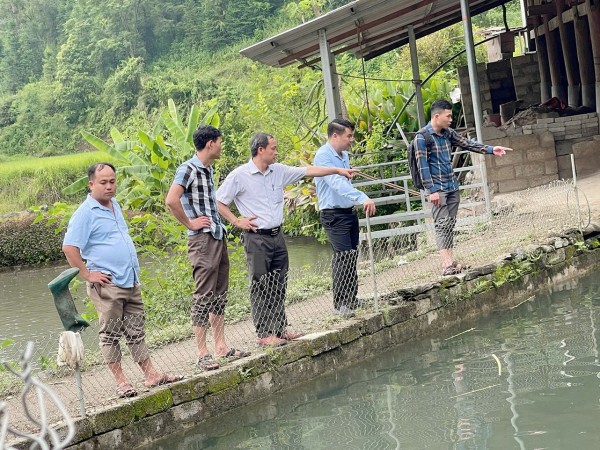 Mô hình nuôi cá Bống ở Phiêng Mường: Hướng đi mới trong giảm nghèo bền vững ở xã Quảng Lâm, Cao Bằng