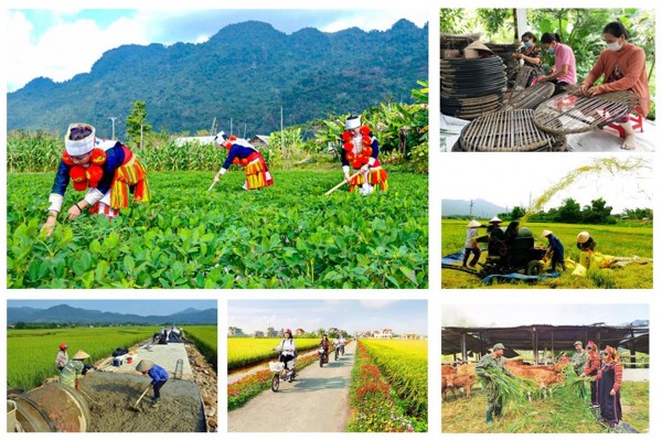 Bộ Dân tộc và Tôn giáo: Nâng cao thu nhập và cải thiện nhà ở cho đồng bào dân tộc thiểu số