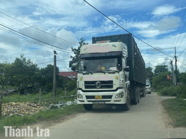 Quảng Trị: Người dân xã Phong Nha bất an vì hung thần xe keo tràm lộng hành trong đường làng