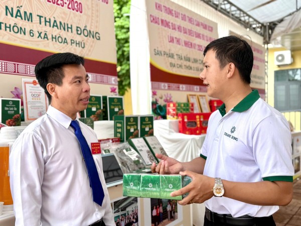 Đắk Lắk: Vì sao 90% startup 