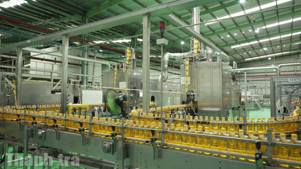 Logistics xanh, yếu tố chiến lược nâng cao năng lực cạnh tranh