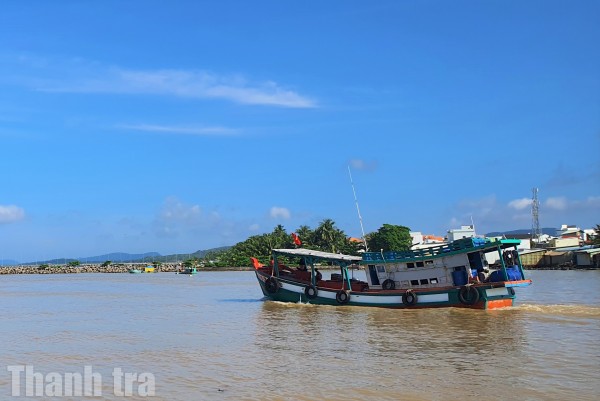 Tỉnh ủy Cà Mau chỉ đạo tăng cường chống khai thác IUU, quyết tâm gỡ “Thẻ vàng” EC