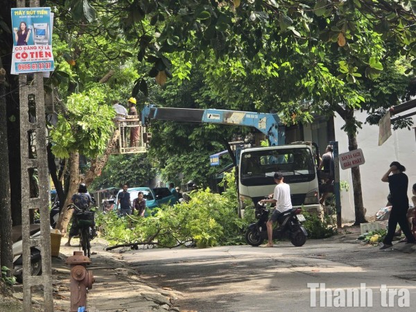 Thanh Hóa: Khẩn trương bảo vệ mùa màng, ngư dân và đê điều trước bão lớn