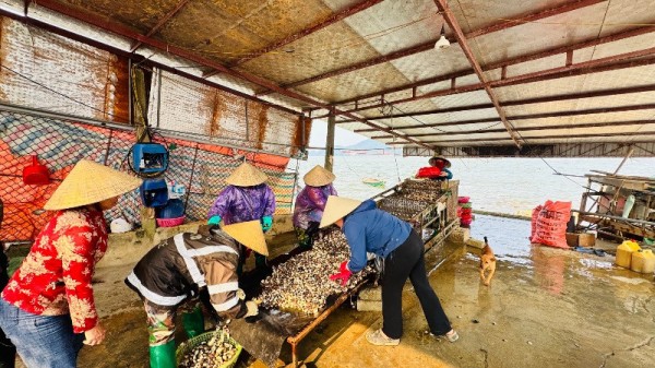 Ngân hàng Nhà nước nâng quy mô chương trình tín dụng đối với lĩnh vực nông, lâm, thủy sản lên mức 185.000 tỷ đồng