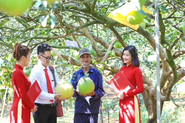 Agribank thúc đẩy phát triển bền vững với chương trình ưu đãi “xanh”