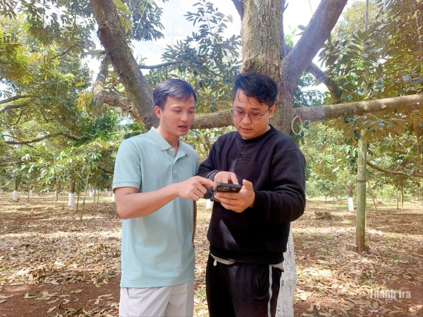 Từ ý tưởng đến thị trường số: Hành trình 