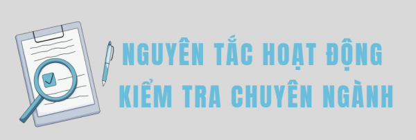 Các nguyên tắc hoạt động kiểm tra chuyên ngành