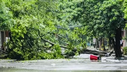Thanh Hóa: Bí thư chi bộ thôn Bản Thiện 3 đi trực bão bị cây đè tử vong