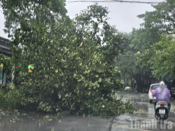 Thanh Hóa: Thiệt hại nặng nề, nhiều địa phương bị chia cắt do bão số 10