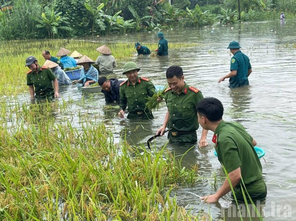 Tuyên Quang: Khẩn trương triển khai biện pháp đảm bảo an toàn cho người dân và tài sản