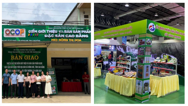 Thêm sinh kế, mở thị trường: Hướng đi mới cho giảm nghèo bền vững