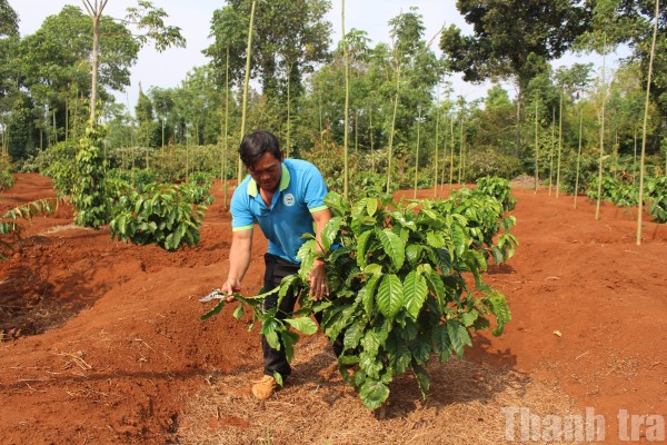 Đắk Lắk quyết tâm “không đánh đổi môi trường lấy tăng trưởng kinh tế”