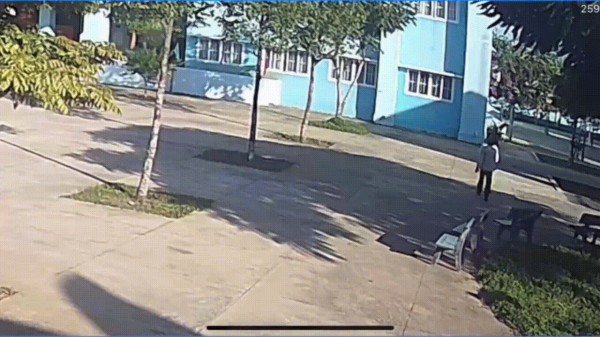 Đình chỉ công tác giáo viên hành hung Bí thư Đoàn trường tại Đắk Lắk