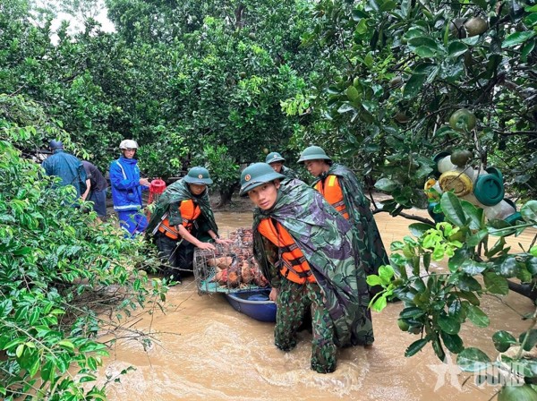 Thường trực Chính phủ kết luận về các nhiệm vụ trọng tâm khắc phục hậu quả sau bão số 11