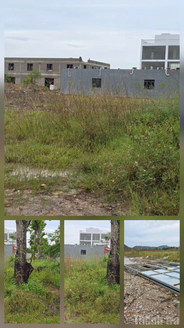 Xót xa nhìn tài nguyên đất “ngủ quên” giữa vùng du lịch sôi động