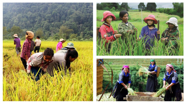 Hơn 12 triệu tỷ đồng cho chương trình nông thôn mới và giảm nghèo giai đoạn 2026 - 2035