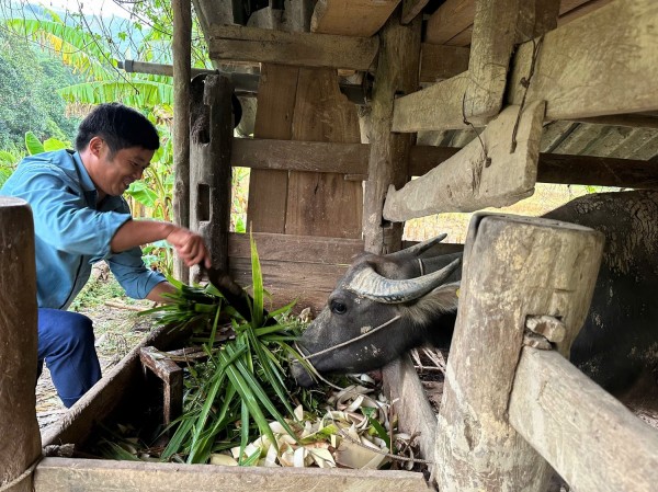 Mỗi hộ dân thoát nghèo là nỗ lực vươn lên và sự hỗ trợ kịp thời từ chính sách